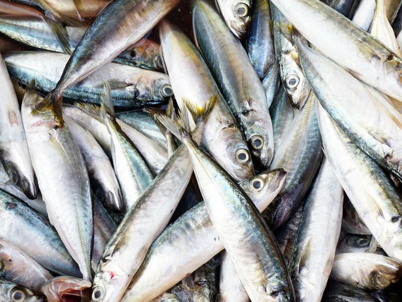 Sardinka je český název pro několik druhů sleďovitých ryb. Až půjdete do obchodu, nezaměňujte sardinky za šproty nebo sardele – jde o jiné druhy ryb.